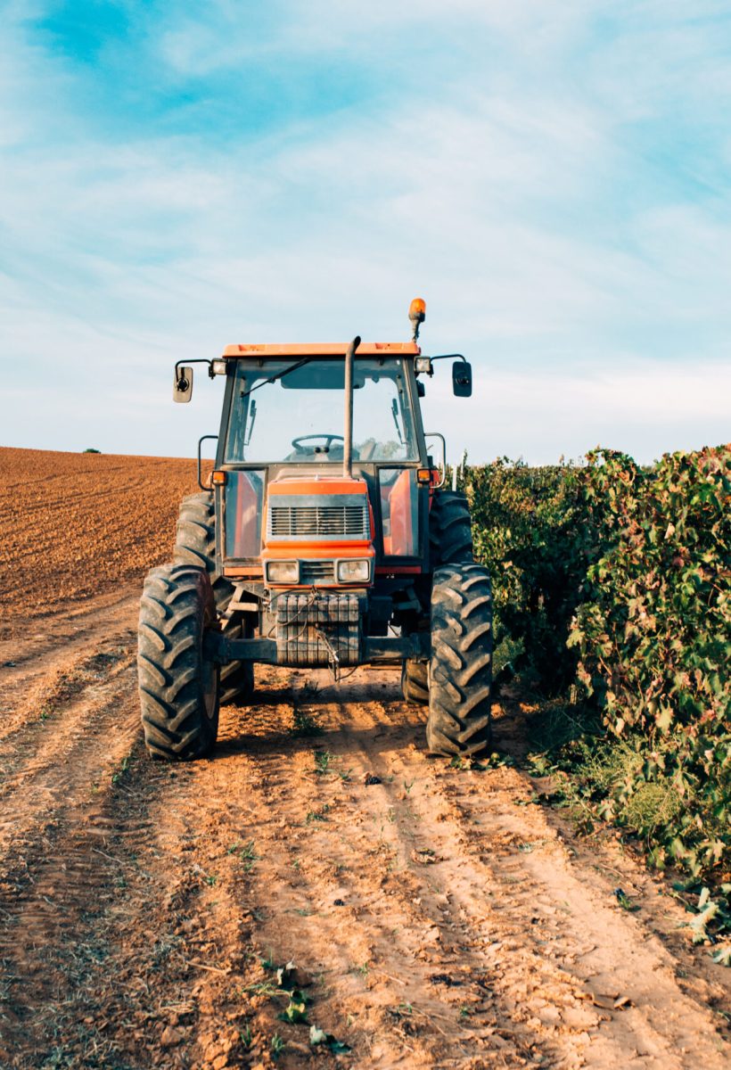 Tractor in a vineyard